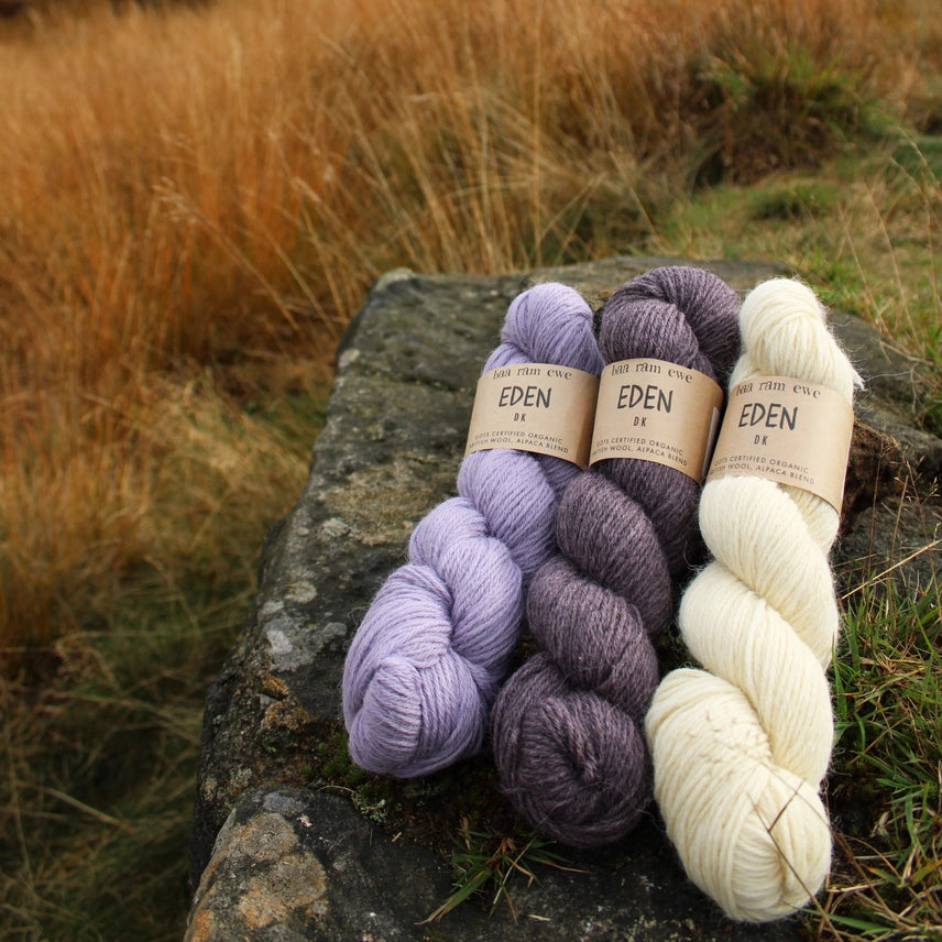 Baa Ram Ewe | Eden DK | Alpaca & Organic Wool Yarn (30/70