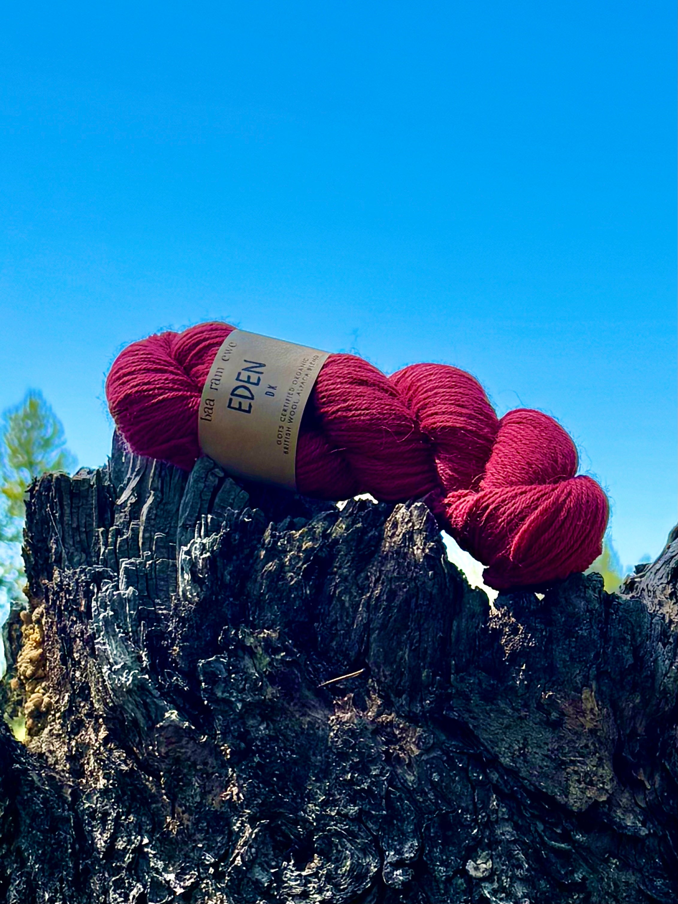 Baa Ram Ewe | Eden DK | Alpaca & Organic Wool Yarn (30/70