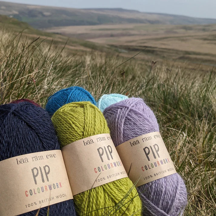 Baa Ram Ewe | Pip Colourwork | British 4 Ply Wool Yarn (25g)